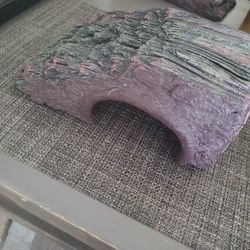Reptile Cave