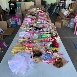 Barbie, LOL, Rainbow and Other Types Of Dolls 