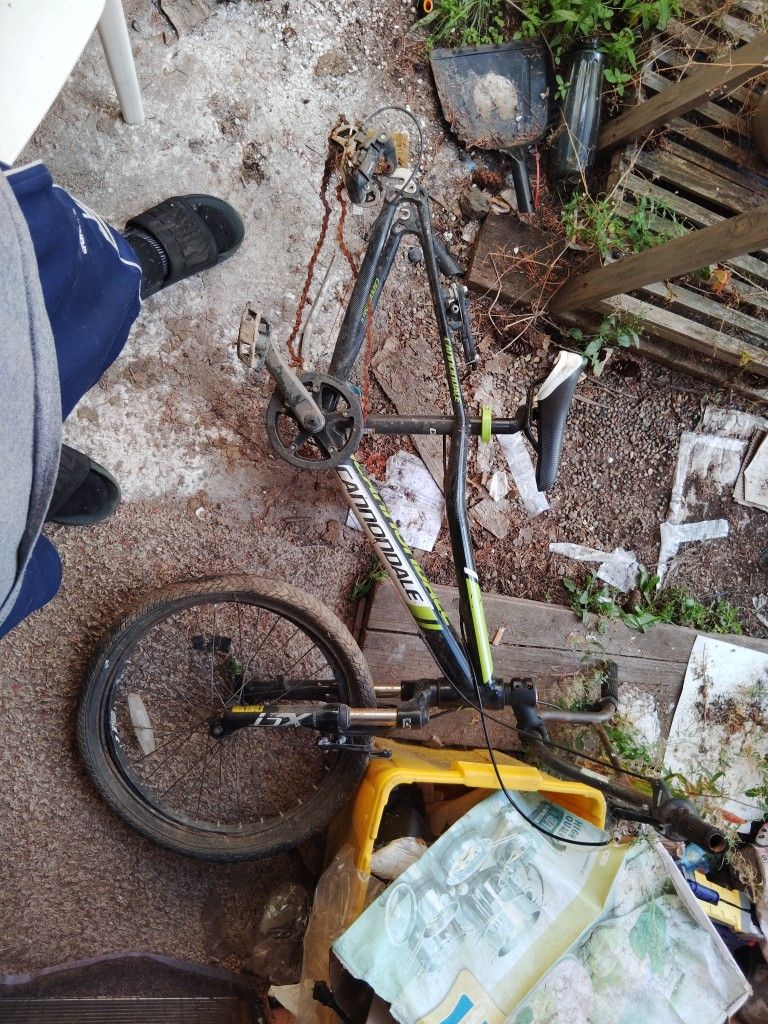 Cannondale Frame And Seat
