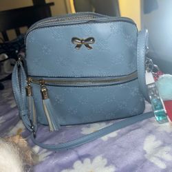 Blue purse