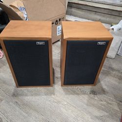 Stereo Speakers Roger's Vintage 