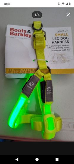 Boots & Barkley LED Rechargeable Dog Harness Vibrant