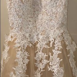 Blush Dress