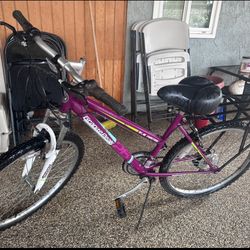 Roadmaster Granite Park Women’s Mountain Bicycle Purple26”