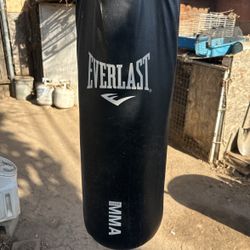 Mma Streetfighter Bag