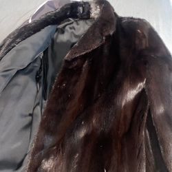 Mink Coat 