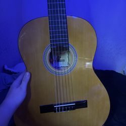 Palmer acoustic guitar