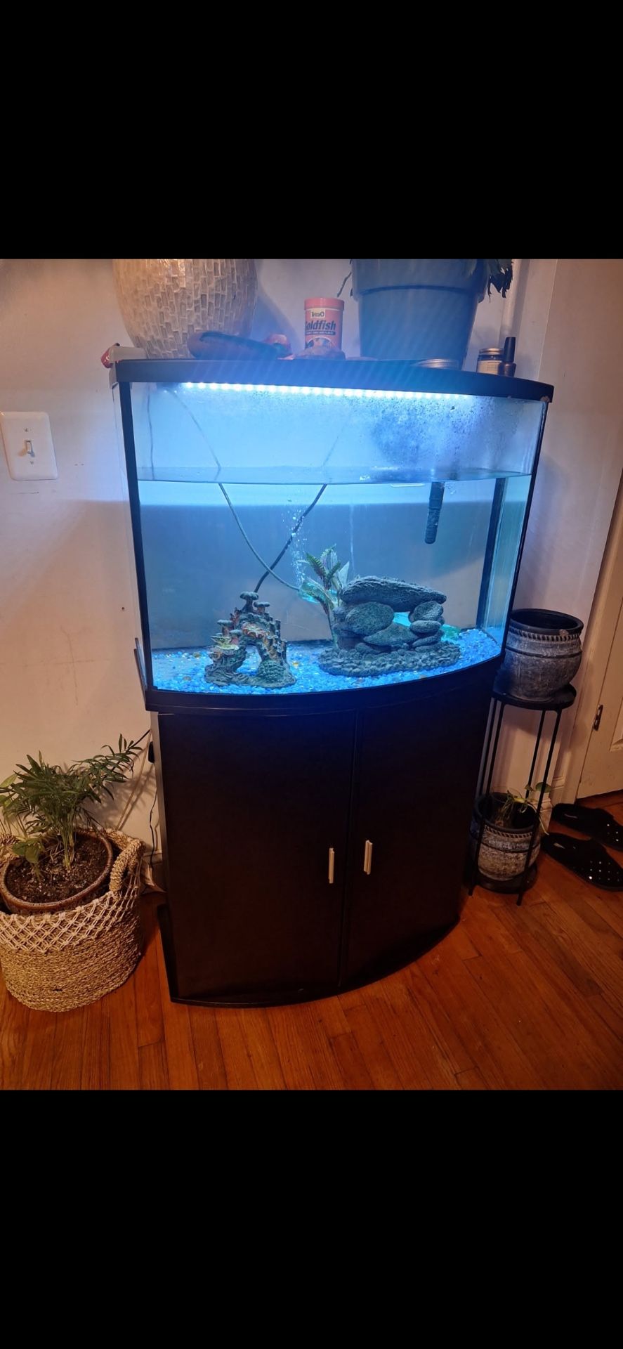 Fish Tank 🐟