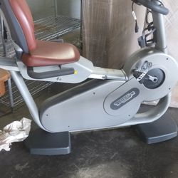 Technogym Bike