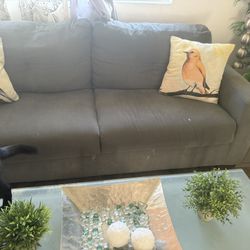 Free Couch and Love Seat
