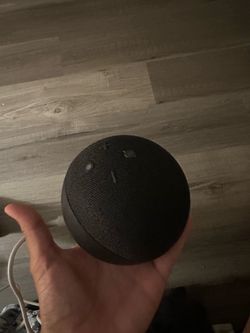 Echo dot