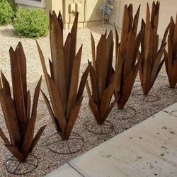 New .. 4FT. AGAVE 
Garden Agave Plants ..(Will rust)

Approx.
4ft 1" Agave 
$129.95 ea.

Approx.
3ft.5" Agave  $120.00

Approx.
2ft.1" Agave 

$75.00 