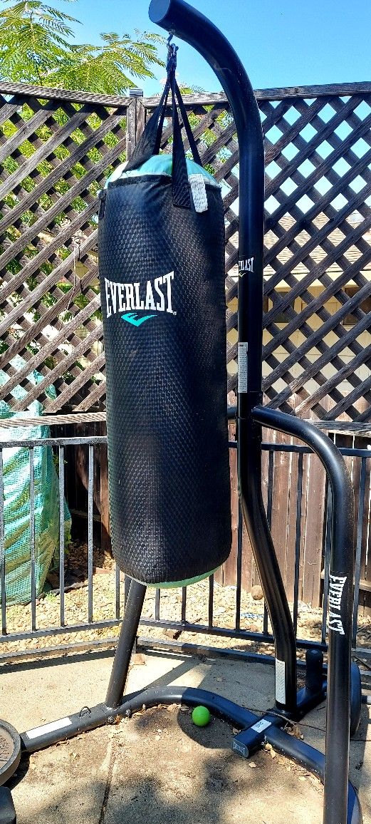 Everlast Punching Bag & Stand