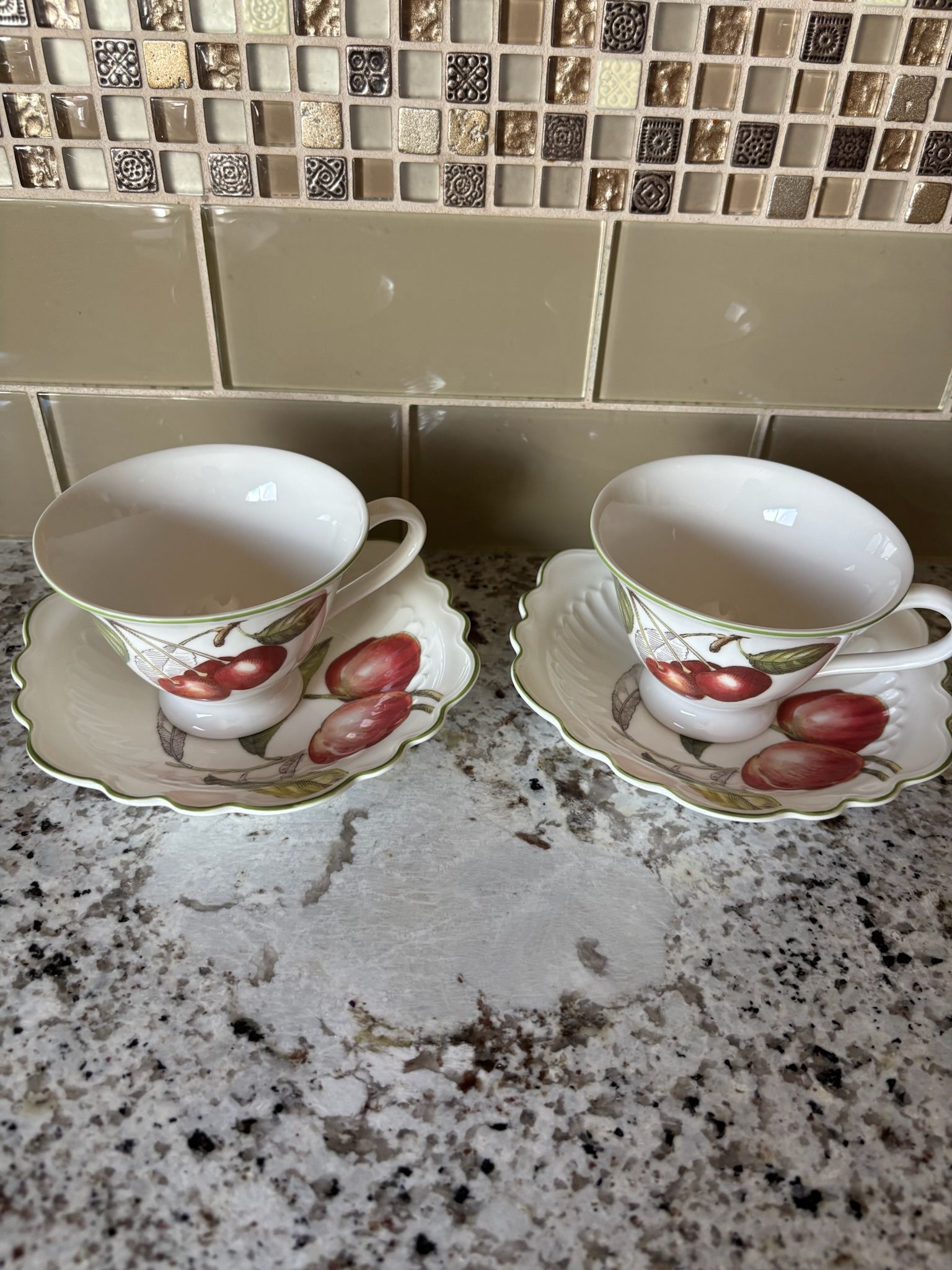 Villeroy & Boch Tea Cup & Saucer Set for Two – Discontinued Line (Rare & Elegant)