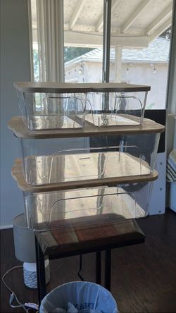 Clear Storage Bins with Wood Lids – Set of 4