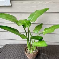 34” Bird of Paradise Fake Tropical Plant