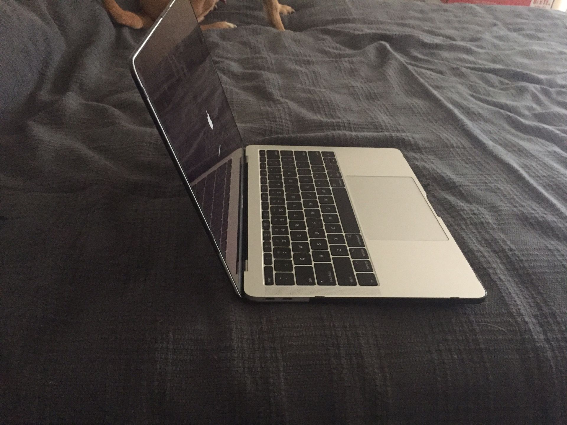 2018-2019 Apple MacBook Pro without Touch Bar