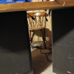 DCM FLOOR SPEAKERS 