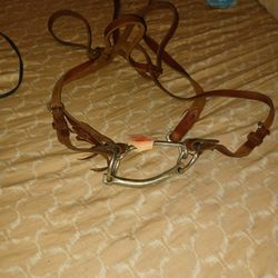 Horse Bit