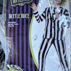 Beetle Juice Costume