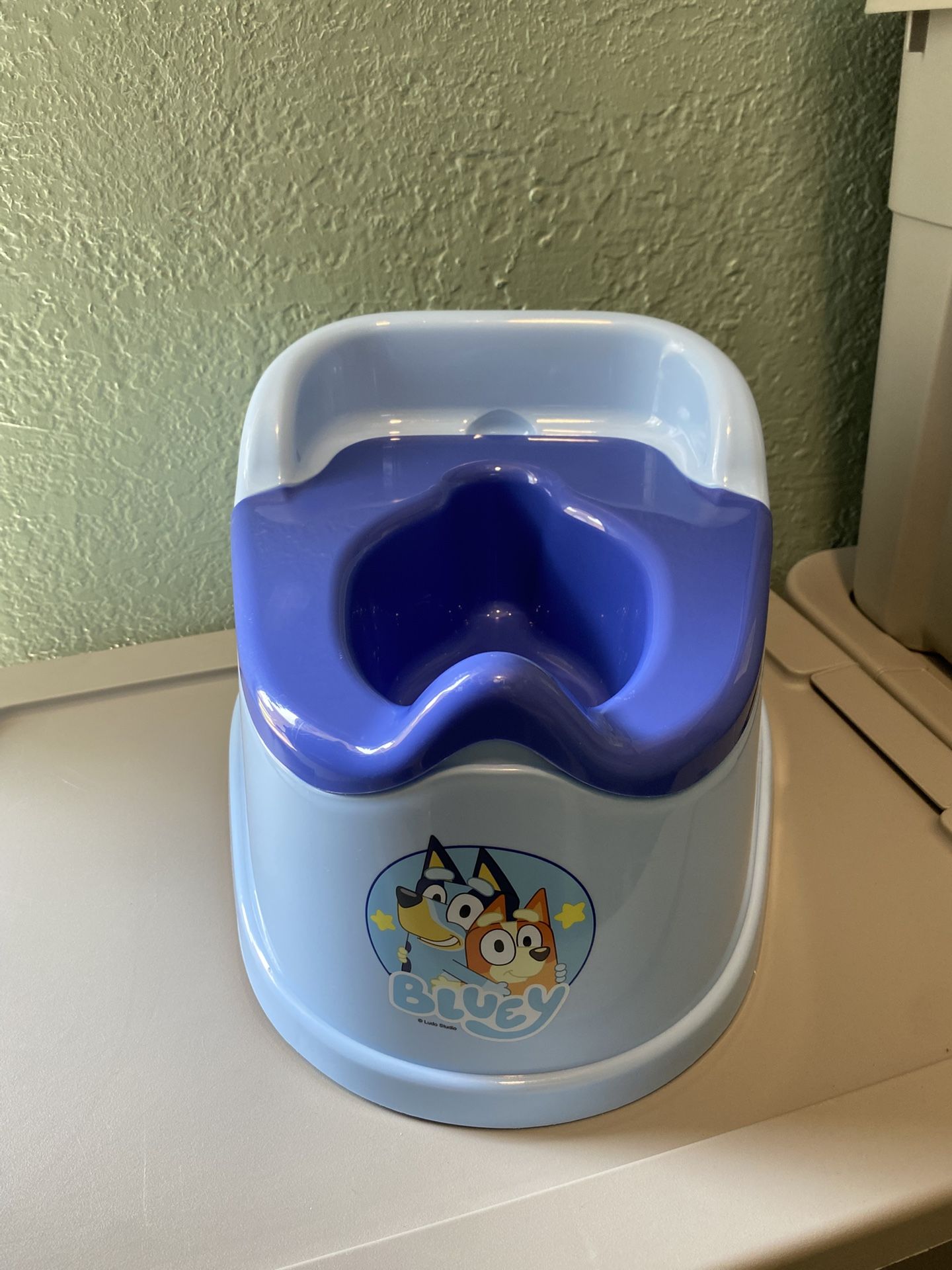 Bluey Potty Training