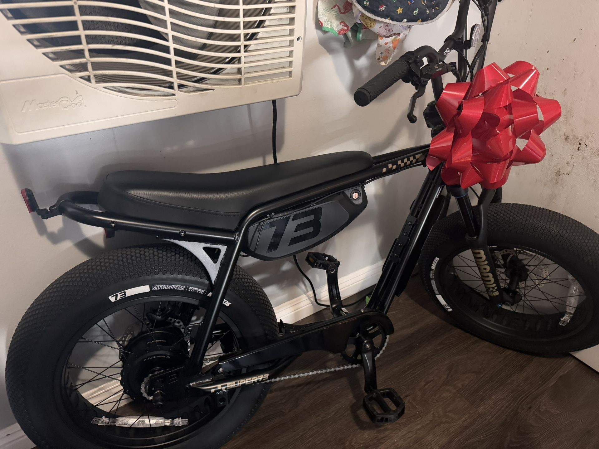 Electric Bike