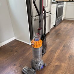 Dyson DC40 - Ball vacuum 