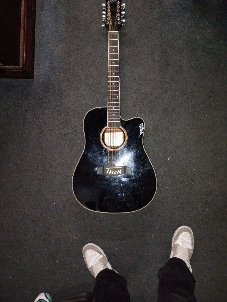 12 String Guitar,Oscar Schmidt