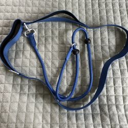 Brand New Dog Training Leash 