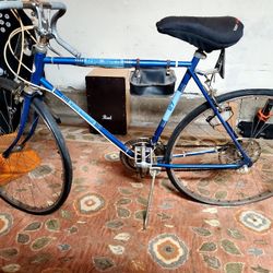 Vintage 10 Speed