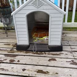 Dog House Inside Insulated 