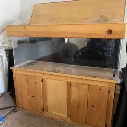 Big Aquarium For Sale