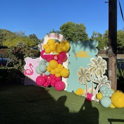 Backdrops | Balloons | Picnics | Events 