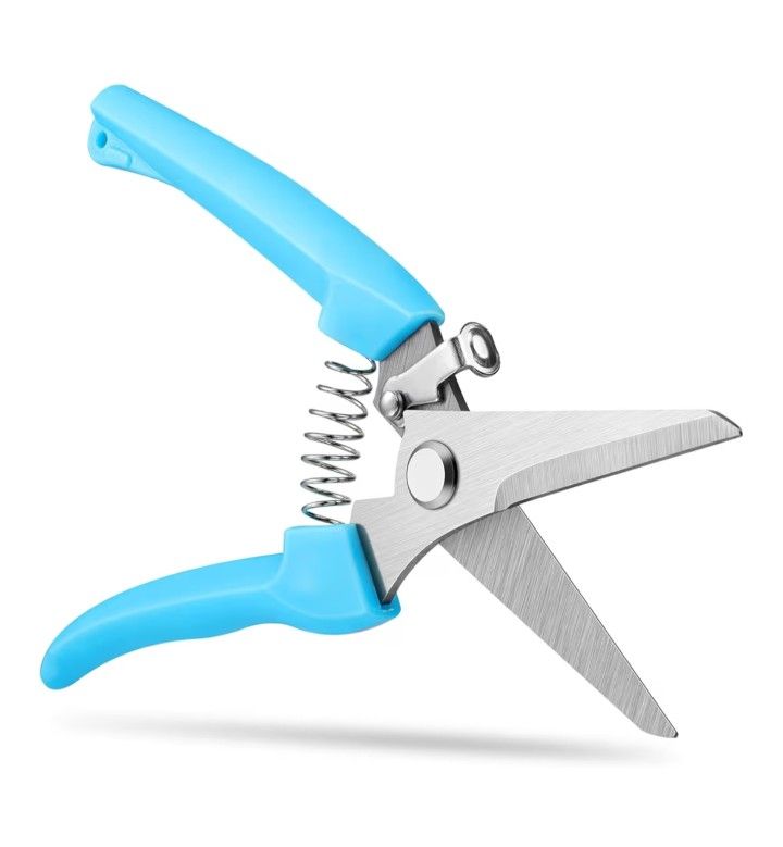 10 Tijeras de flores, tijeras de flores de 7.6 pulgadas, tijeras de podar flores $20 por todas