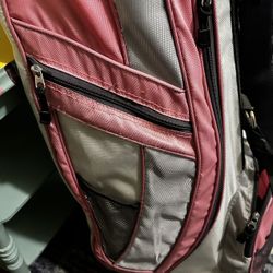 Wilson Womens RH Platinum Slope Golf Set