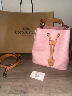 Powder Pink Coach Bag