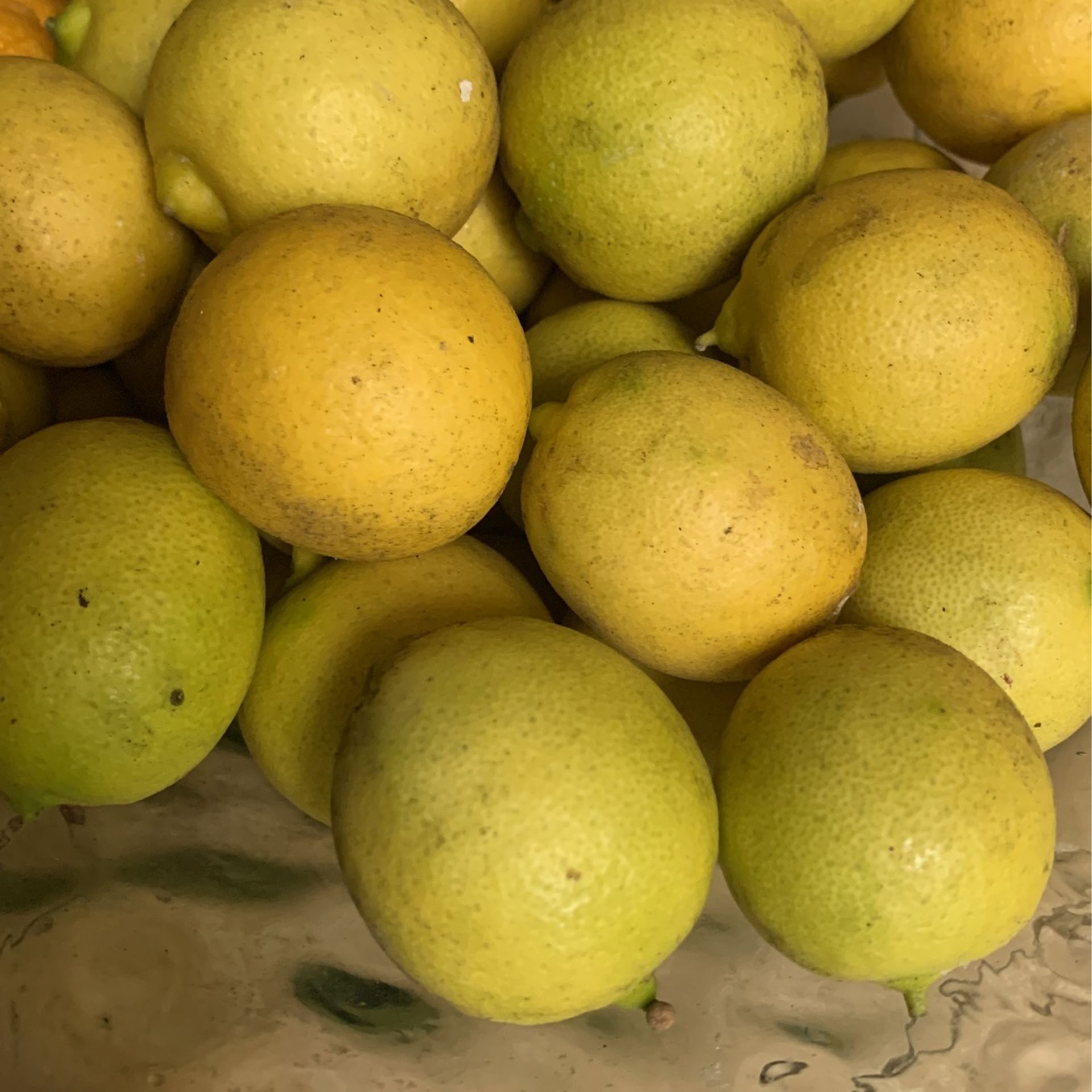 Orgánic Mexican Lemons 🍋 10 for $1