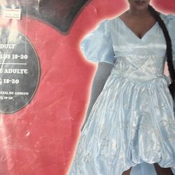 Cinderella costume