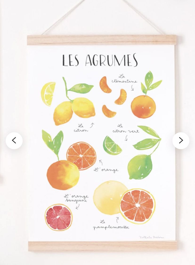 Citrus Fruit Art Print