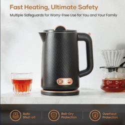 Olega Electric Kettle