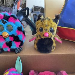 Hatch Babies $15 Each