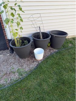 Free Pots please take dirt