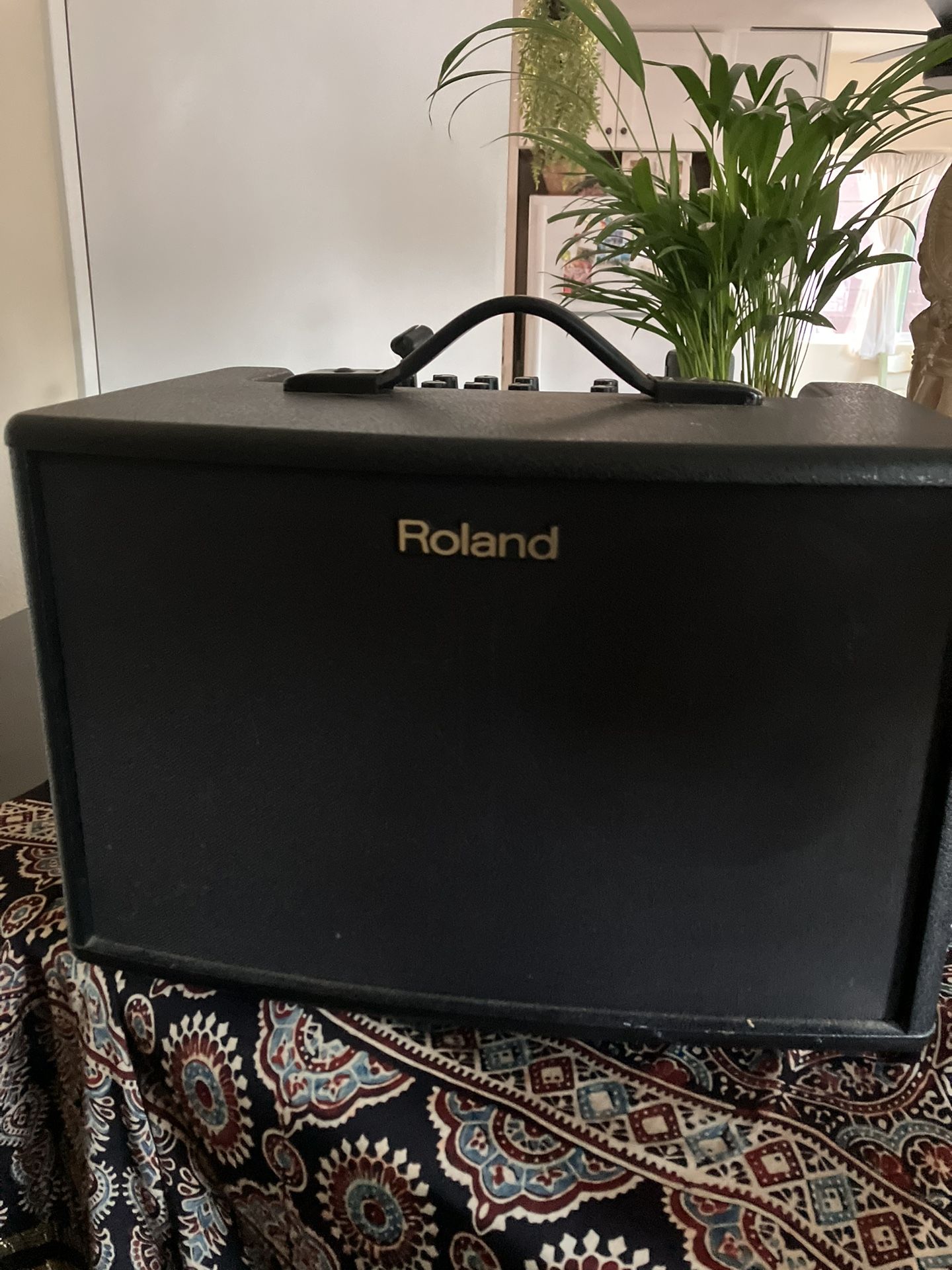 Roland Amp 
