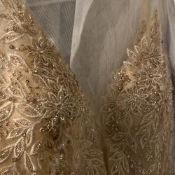 Champaign Dama/sweet16/prom Dress