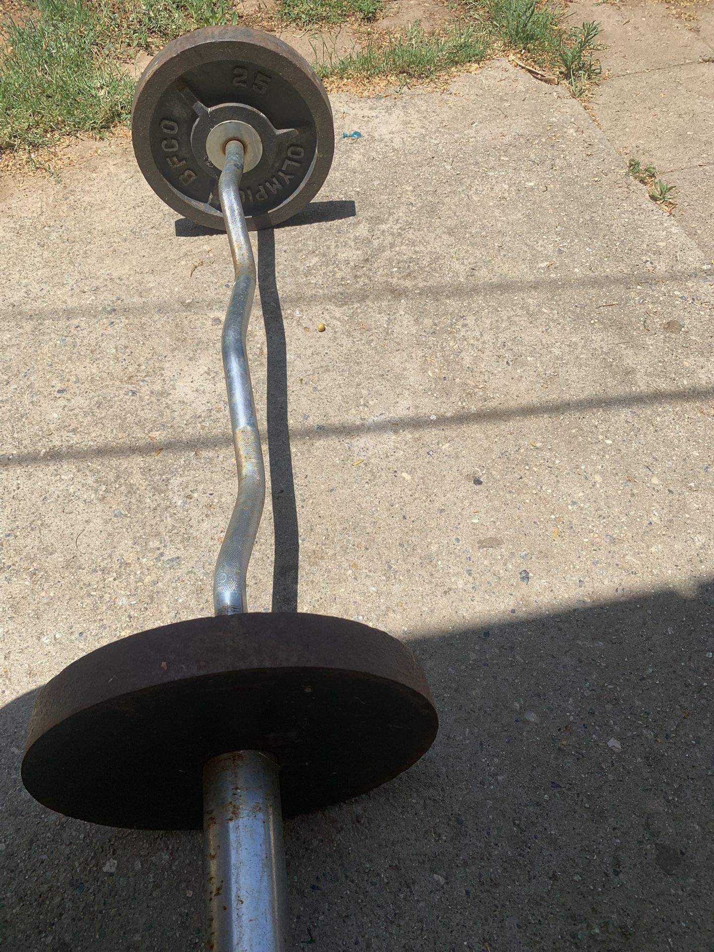 Curl Bar With Weights