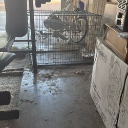 Dog Crate Cheap Mint Condition 