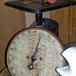 General Store Scale 50.00 