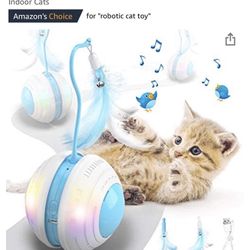 Cat Toy 