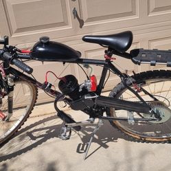 Schwinn Moab Motorized Bicycle (Delivery Available)