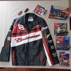 Dale Earnhardt And Dale Earnhardt Jr Collectables 